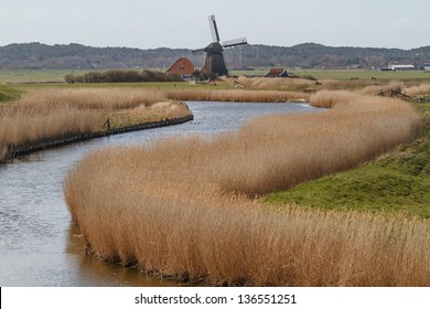 River With Reed Bed