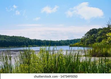 River and reeds through the forest of Longoz
 - Shutterstock ID 1473495050