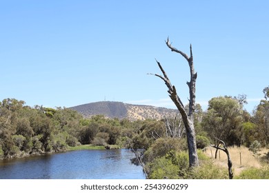 river reflecting clear deep blue skies above running between forested banks with lone dead tree stump and sandy hills rising in the distance - Powered by Shutterstock