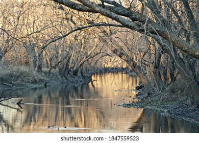 River Reflection - Sangamon River Illinois