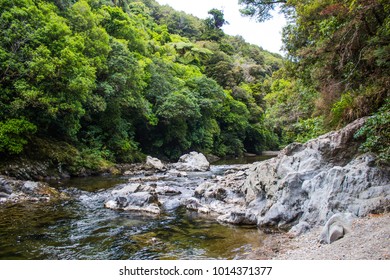 River In Rivendell In Kaitoke Regional Park, New Zealand