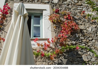 
River Rock Wall With Ivy, Umbrella And Wall Shower 