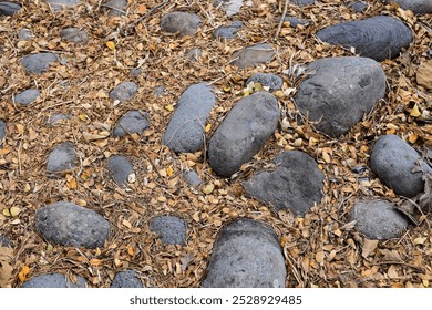 river rocks filled with dry leaves - Powered by Shutterstock