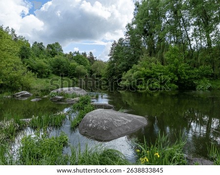 A river with rocks in the middle of it surrounded by trees.