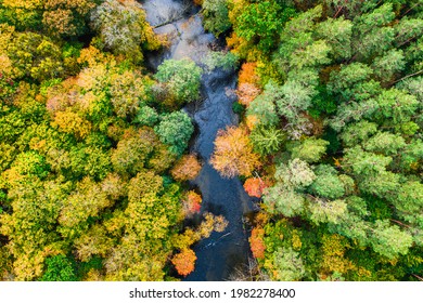 River and rorest in autumn. Aerial view of wildlife in Poland. Nature in Europe.