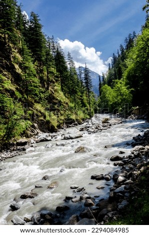 A river running through a forest 