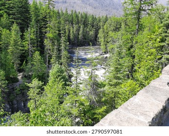 River running through pine trees in Glacier National Park