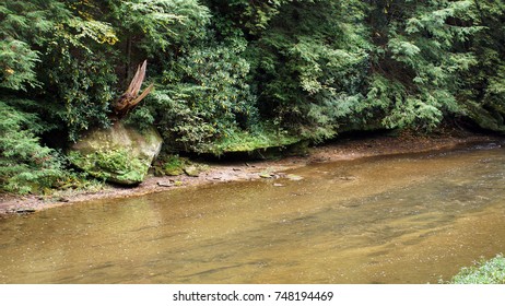 River Running Through Trees and Rocks Formations
