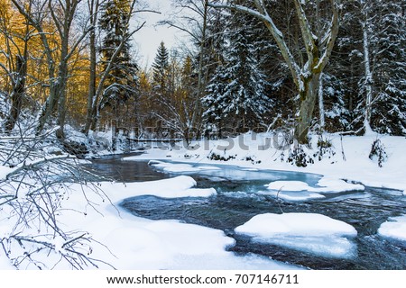 River running through the winter forest