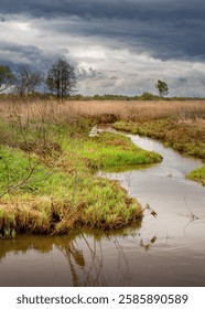 River runs through a field of grass and trees. The sky is cloudy and the water is murky