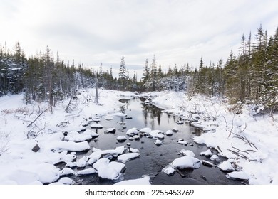 River runs through a forest in the cold winter snow