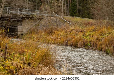 A River Runs Through The Forest And Fish Spawn In The River.