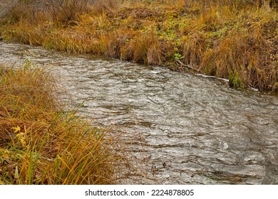 A River Runs Through The Forest And Fish Spawn In The River.