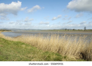 River Severn At Upper Framilode Before The Severn Bore, Gloucestershire