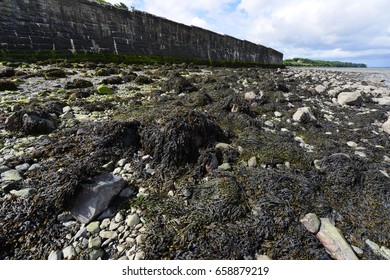 River Shannon Estuary In Ireland.