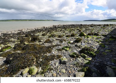 River Shannon Estuary In Ireland.