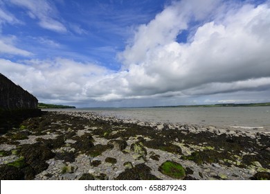 River Shannon Estuary In Ireland.