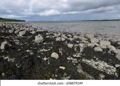 River Shannon Estuary In Ireland.