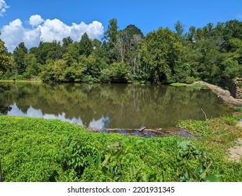 River Shoreline With Lush Greenery 