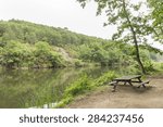 River side in forest