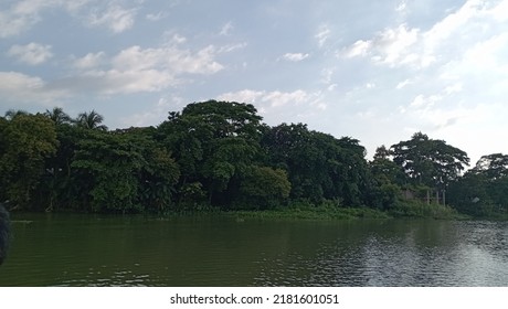 River Side Photo With Tree