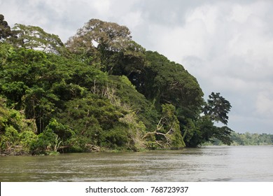 River Side At Sepik River - Papua New Guinea