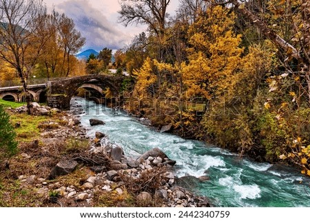 River Sorrosal in Pyrenees. Broto. Huesca. Spain.