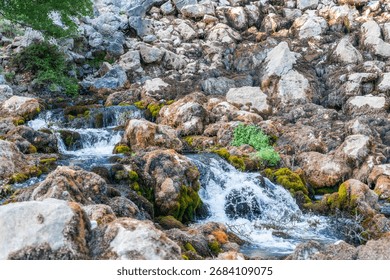 A river source, spring of Krupa in Velebit, Croatia