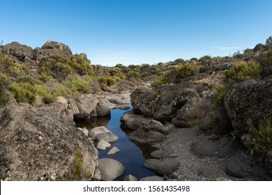 River Spring On Mountain Trek In Kilimanjaro Valley