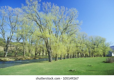 River In Springtime, Williamstown, Massachusetts