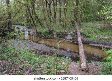 River Srebrna Near Minsk Mazowiecki In Mazowsze Region Of Poland