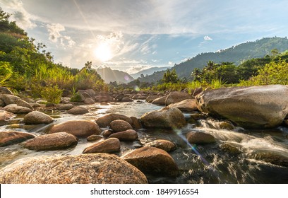 River stone and tree with sun beam, View water river tree, Stone river and sun ray in forest