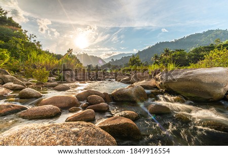 River stone and tree with sun beam, View water river tree, Stone river and sun ray in forest
