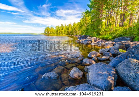 River stone in water, summer nature background