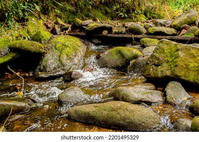 River with stones and current
