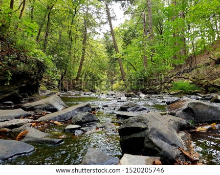 river stream in bushkill falls