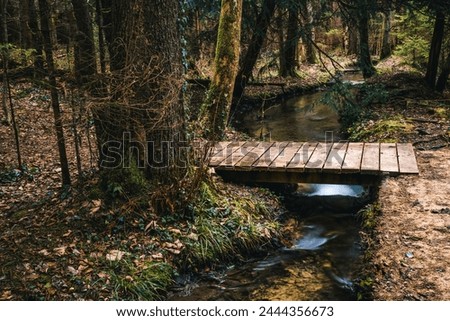 River, stream, stream in the forest, bridge, trees, forest