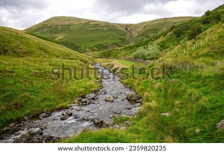 River stream in the hills of a mountain valley. Mountain river stream. River in mountains. Mountain river stream flowing