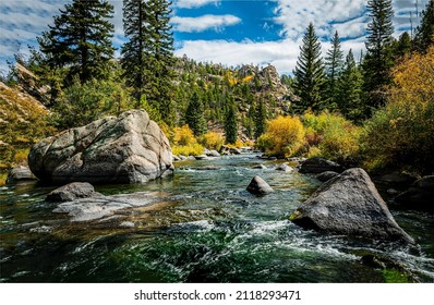 River stream in the mountains. Mountain river stream in woods