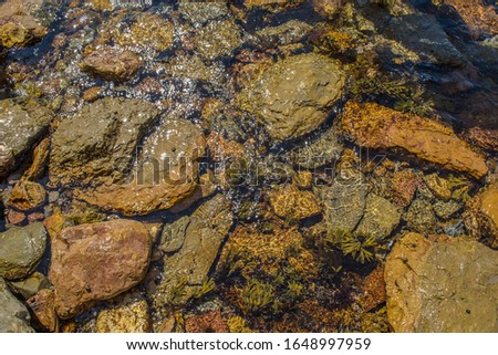 river with a stream and pebbles.pebbles at the bottom of the river