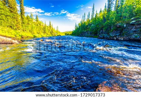 River stream rapids in beautiful summer