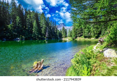 River stream in the summer forest. Woods river side landscape - Powered by Shutterstock