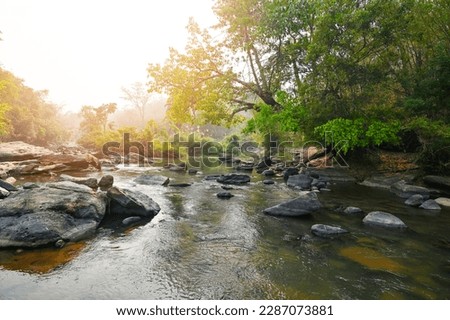 River stream waterfall in forest landscape, beautiful nature water stream with  rocks in the tropical forest little mountain waterfall water flowing and stone clear water in mountain river with tree
