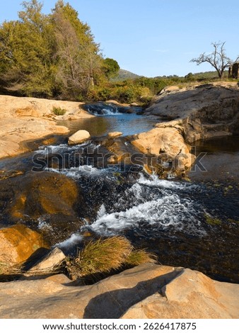 River stream waterfall in forest landscape, beautiful nature water stream with rocks in the forest little mountain waterfall water flowing and stone clear water in mountain river with tree