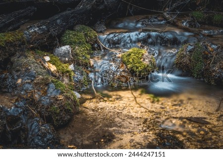 River, stream, waterfall, nature, long exposure, rustling, tranquility, relaxation, spring, forest path, yew forest