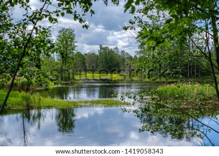 Similar – Trees and Reflection Calm