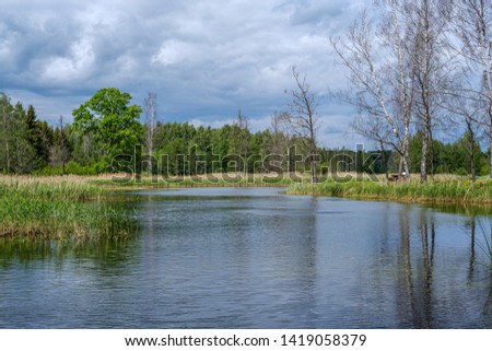 Similar – Trees and Reflection Calm