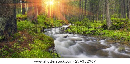 River at sunrise in the Carpathian forest - fast jet of water at slow shutter speeds give a beautiful fairy-tale effect. Ukraine is rich in water resources in the Carpathian Mountains is  good ecology