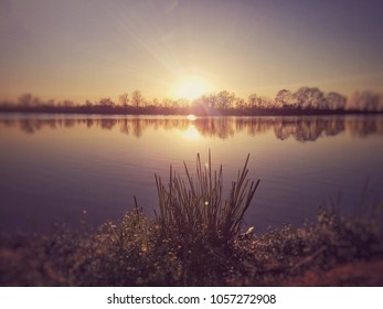 River Sunset Treeline