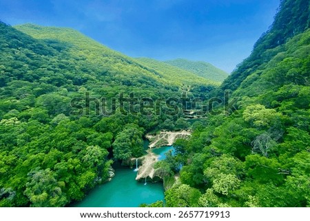 A river surrounded by trees